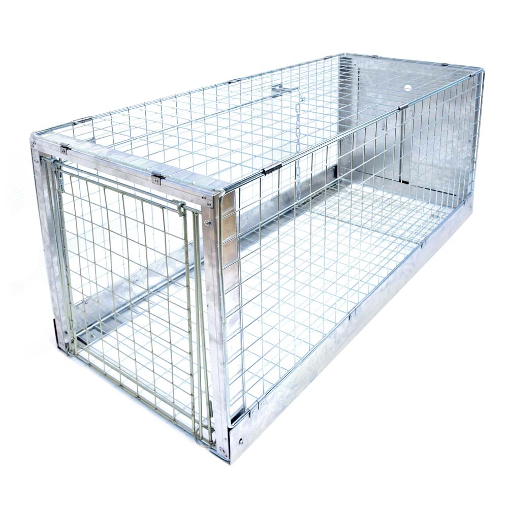 Dog Trap