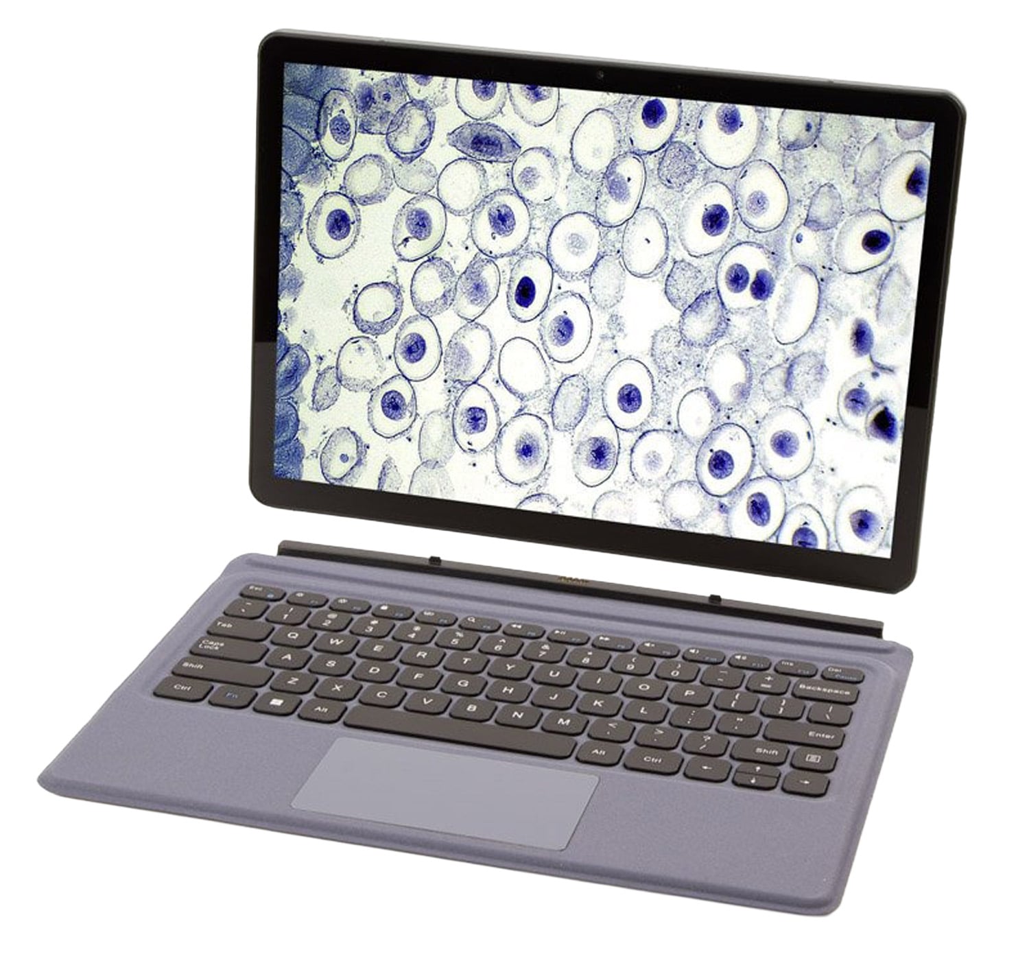 Euromex LaboPad