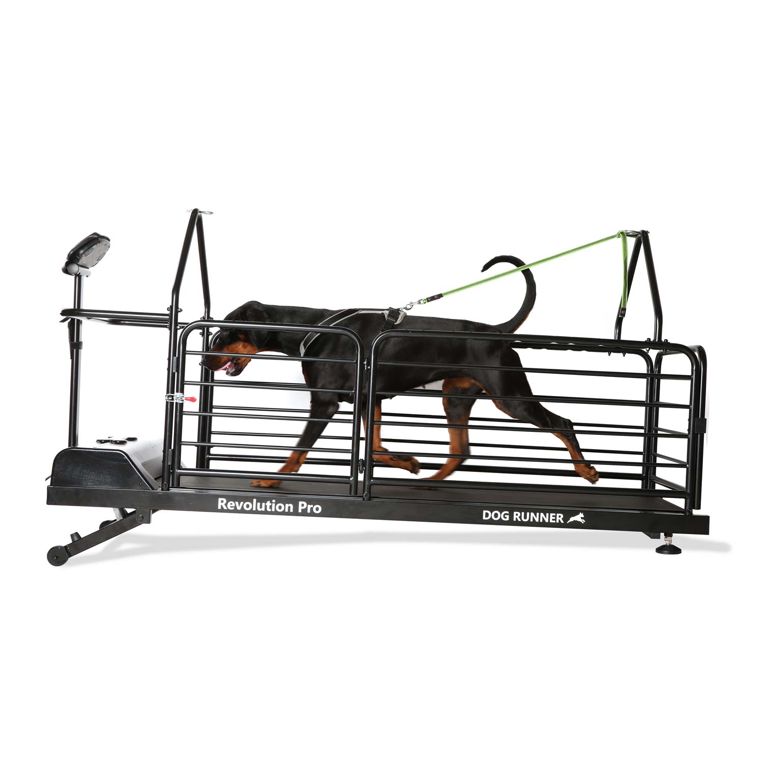 DOG RUNNER Revolution Pro