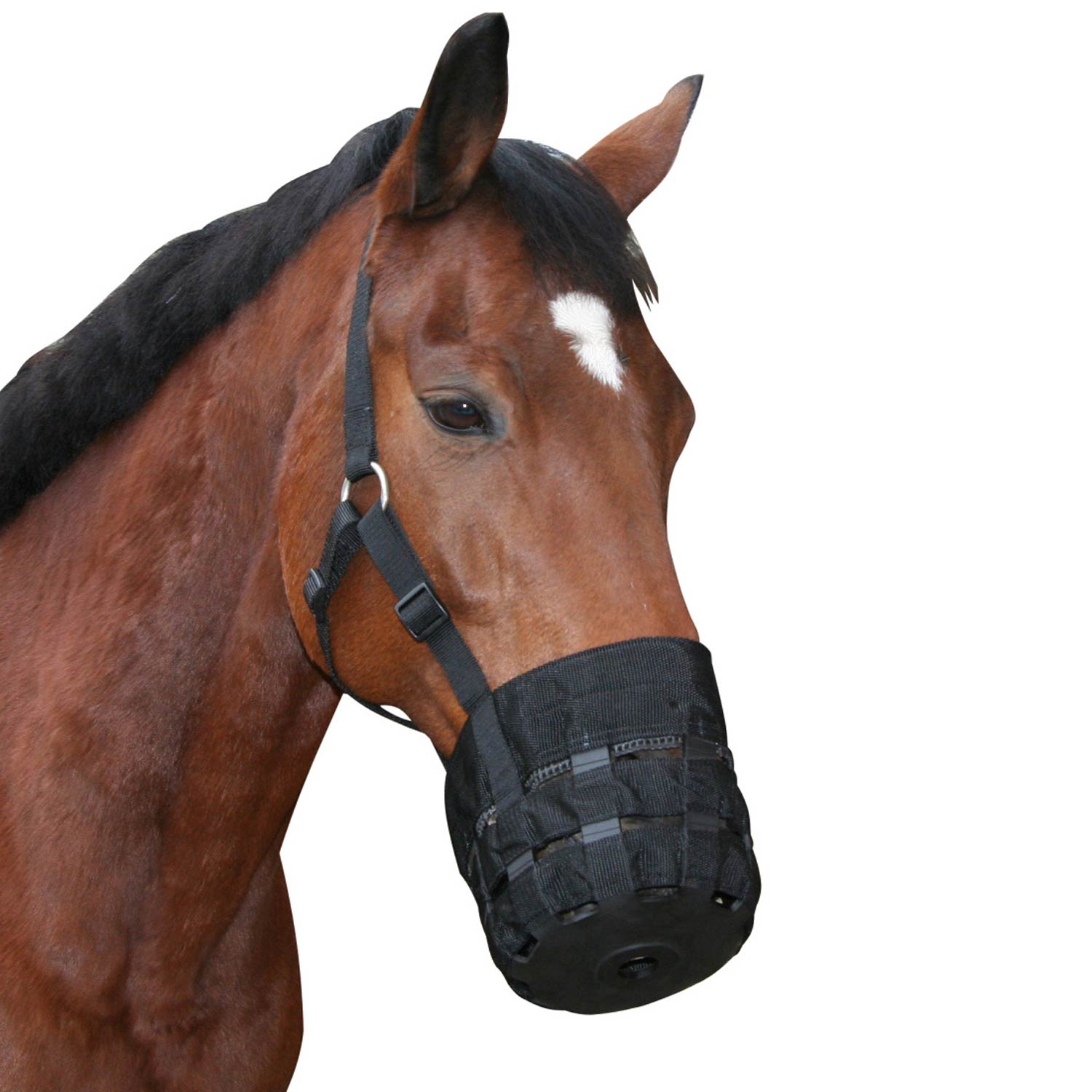 Horse Muzzle